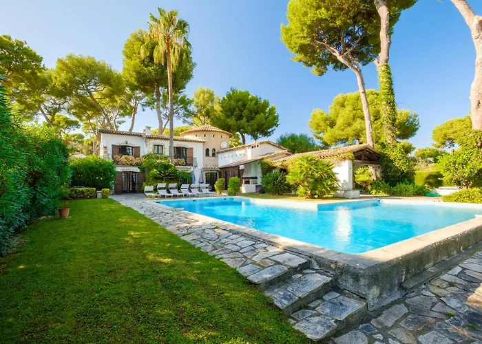 Provenzale Clos De Minerve ジュアン・レ・パン